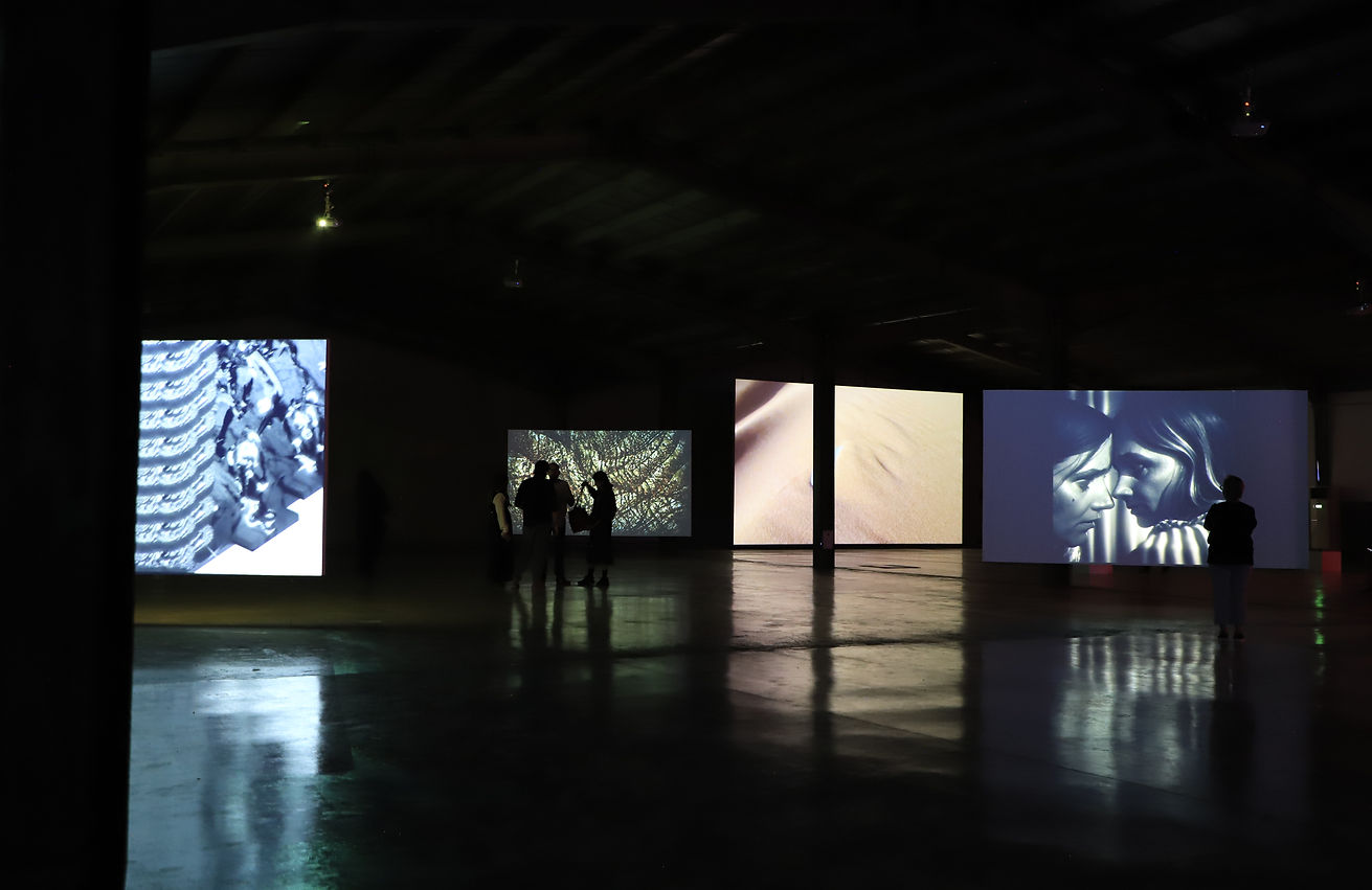 14b450_6d5b4ded49844e20b00d962bb95e0b90~mv2