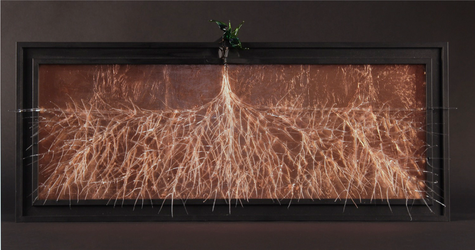 14b450_131fd79797b64882bb08b66e2f355f8a~mv2