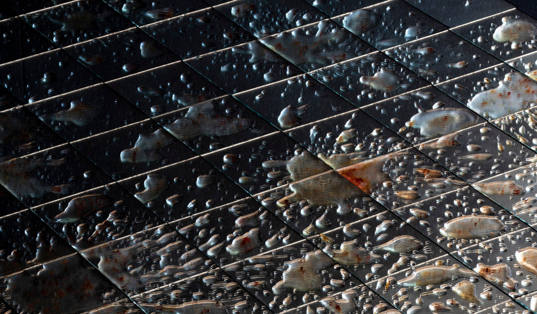 14b450_263325b468db4f0ba5e54f1df0631a08~mv2