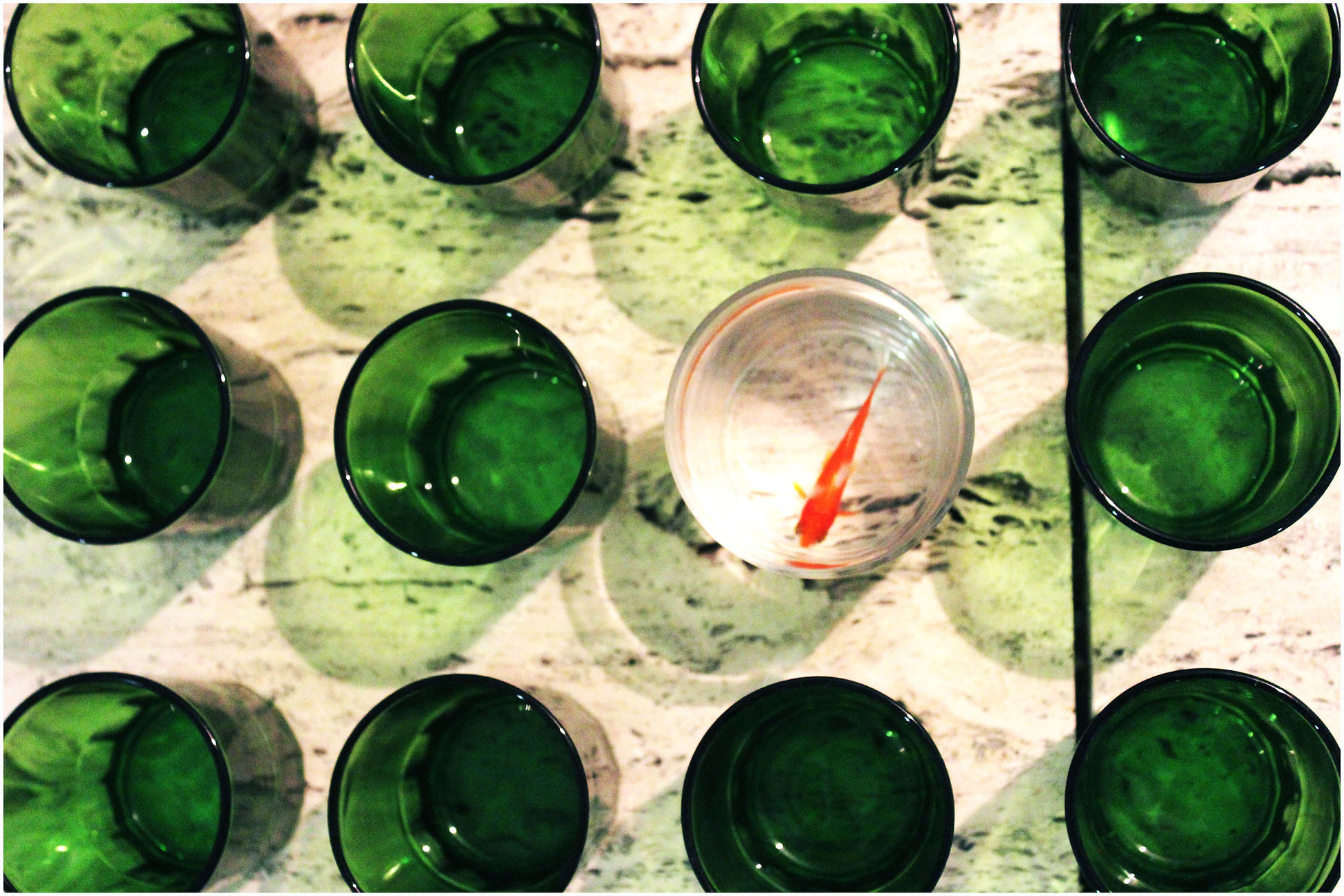 14b450_4019c9239a18465c9126cd86c4ebd5e4~mv2_d_5184_3456_s_4_2