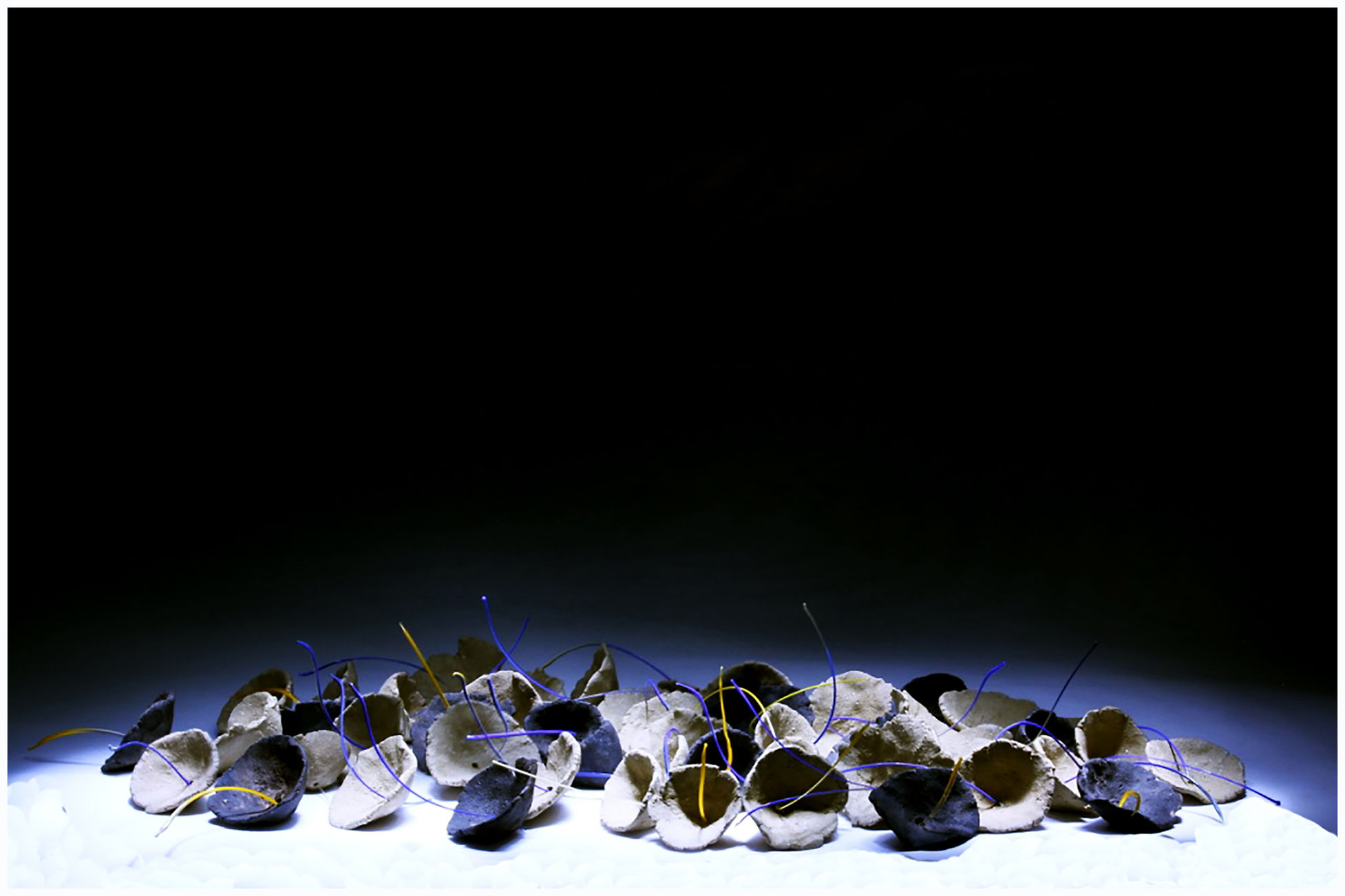 14b450_4b3a5a2b2713417f82382ab5b129fcb6~mv2_d_2362_1574_s_2