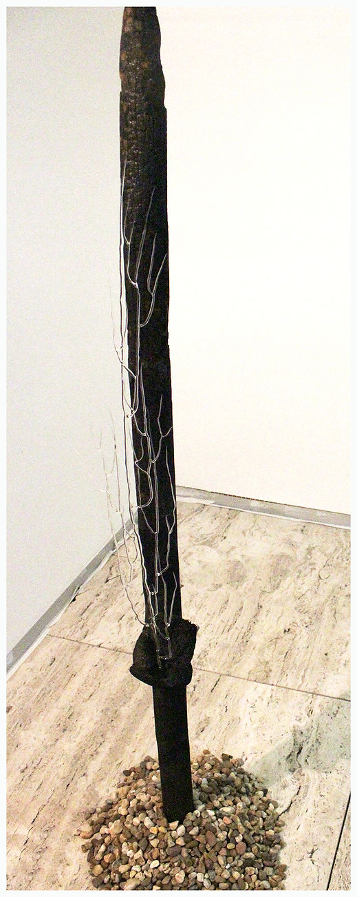 14b450_8bb8866d4bcd4ea0969fc770eaeb1e08~mv2