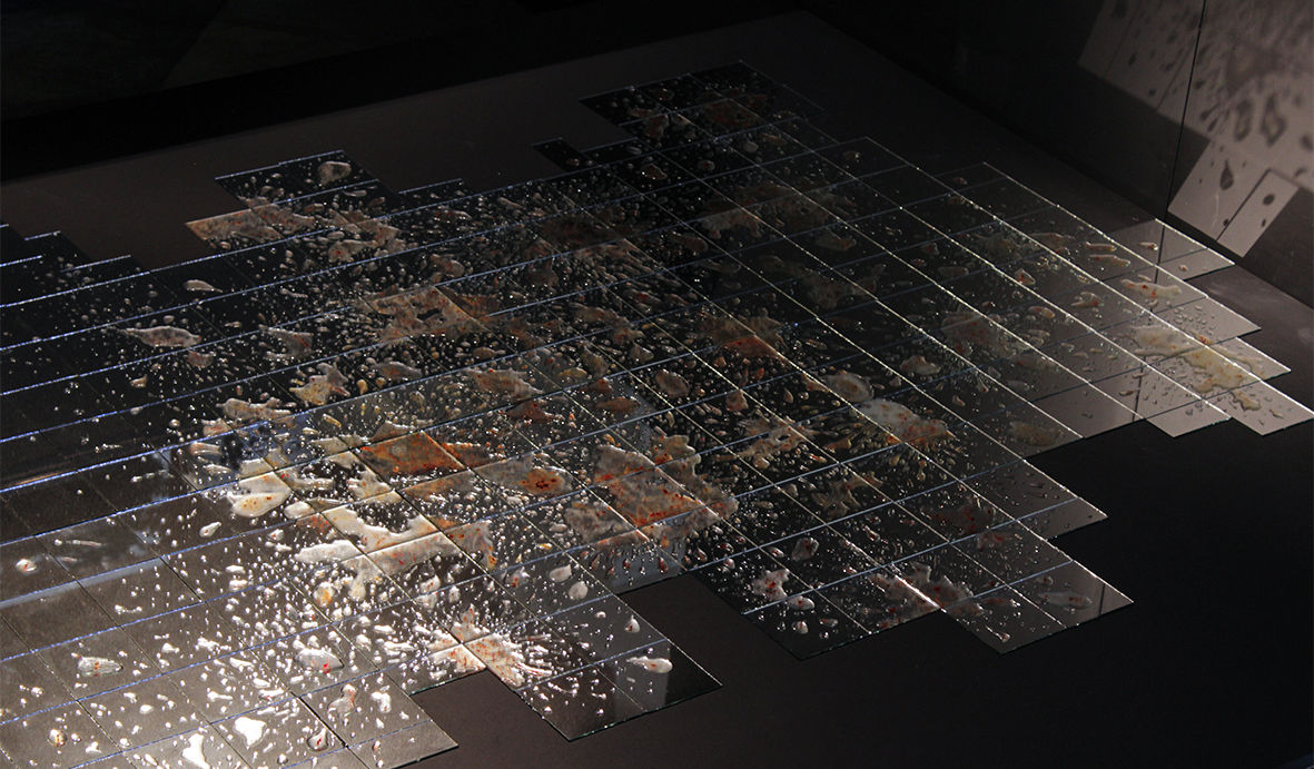 14b450_8f8e9ba53adc4ff3a4cc40d5d09e4c89~mv2 (1)