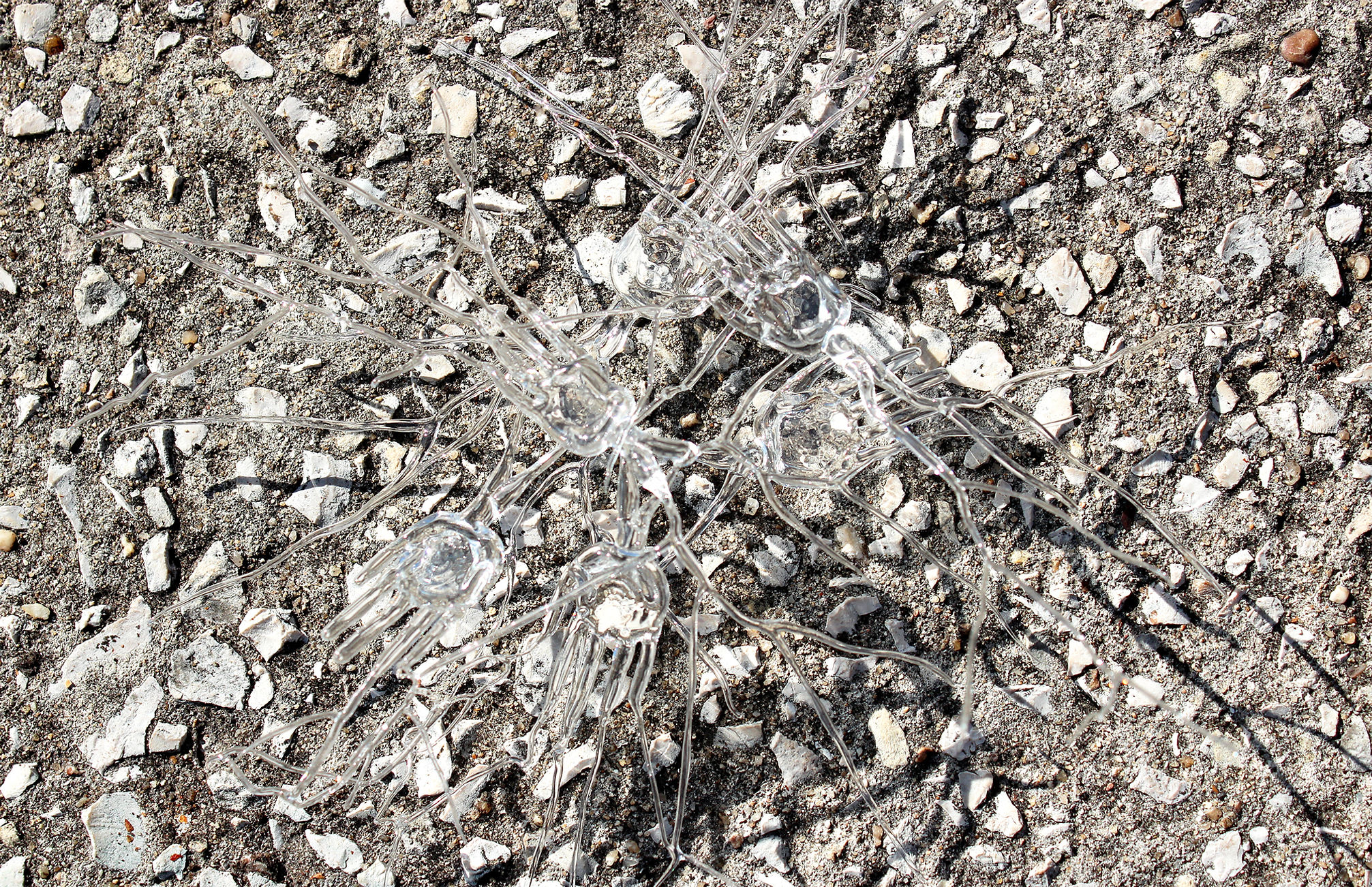 14b450_c410c92a307543b28e8a84fd18788ebf